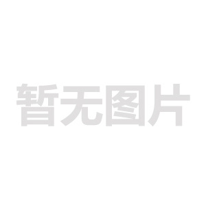 李洪濤無刷電機(jī)